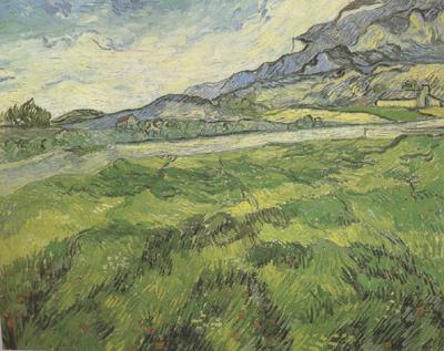 Vincent Van Gogh Green Wheat Field (nn04) oil painting image